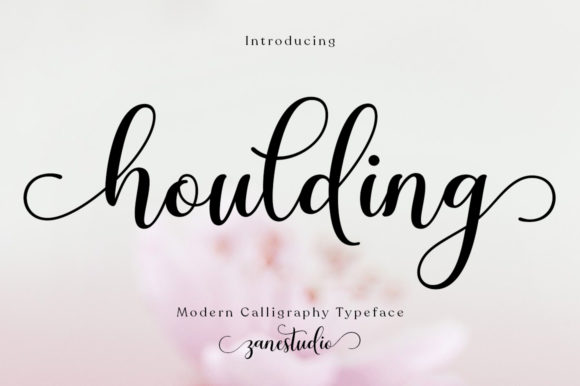 Enhance Your Brand with Houlding: A Graceful Script Font