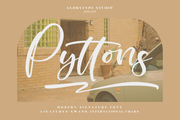 Pyttons: A Charming Script Font for Your Brand